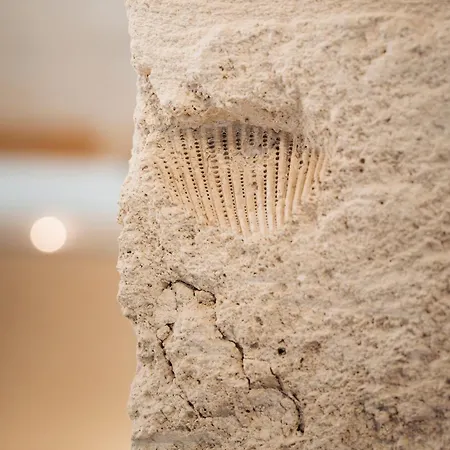 Roal - Apulian Luxury House - Jacuzzi & Polignano a Mare