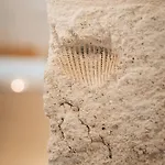 Roal - Apulian Luxury House - Jacuzzi & Полиньяно-а-Маре
