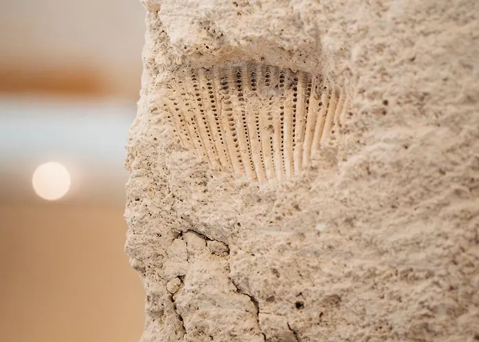 Roal - Apulian Luxury House - Jacuzzi & بولينيانو آ ماري